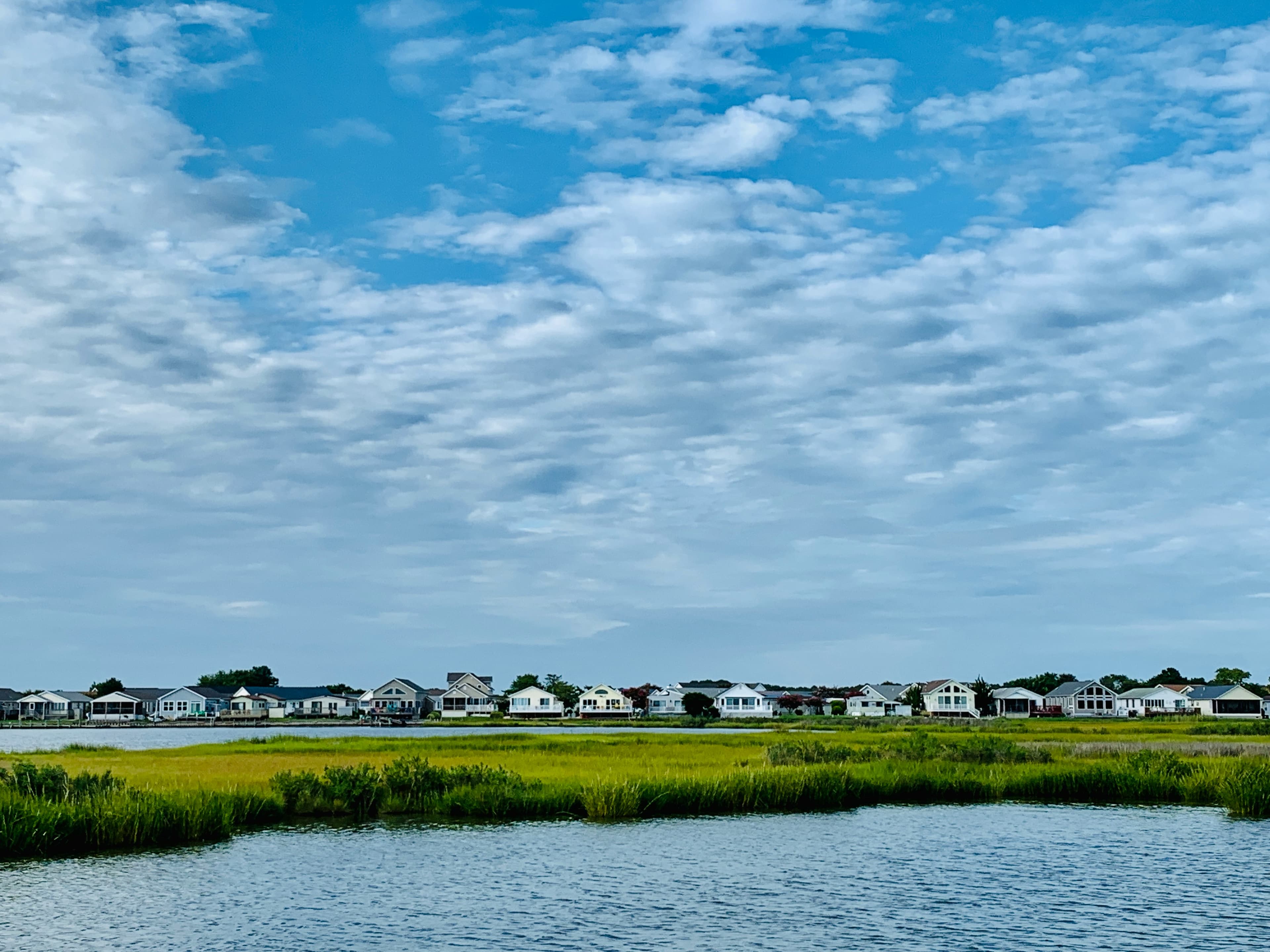 Marsh grass along the Chesapeake Bay with waterfront homes across the water